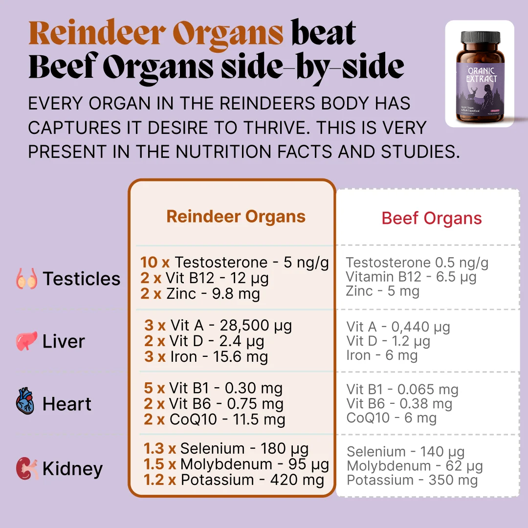 Oranic Extract® Ancestral Waist & Thighs Slimmer