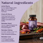 Oranic Extract® Ancestral Waist & Thighs Slimmer