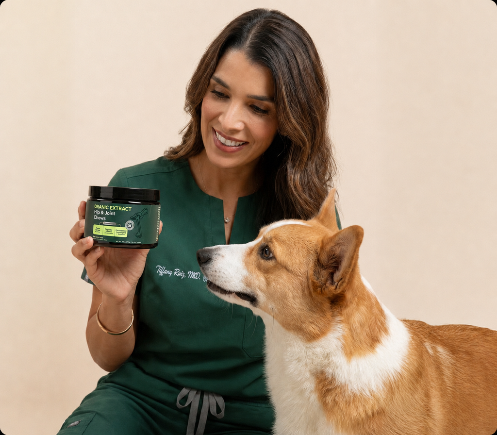 Oranic Extract Hip & Joint Chews