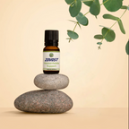 Zovost Hemorrhoids Relief Formula