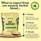 RoburstAge Gut Support